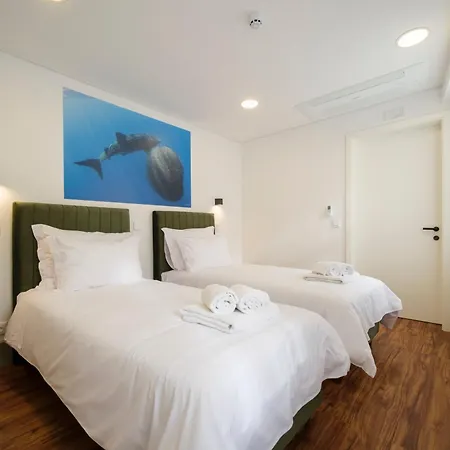 Azimute3 T2 Moderno Centro Historico Angra 公寓